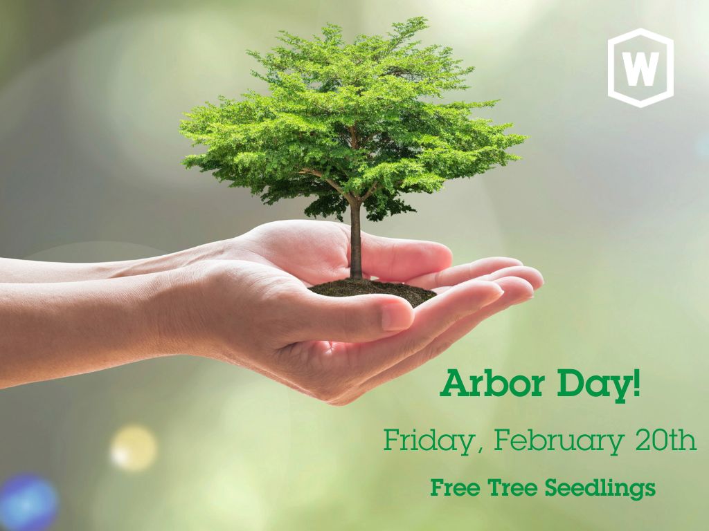 City of Woodstock Parks and Recreation - Arbor Day Celebration